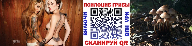 Галлюциногенные грибы MAGIC MUSHROOMS  Купить где  Аргун 